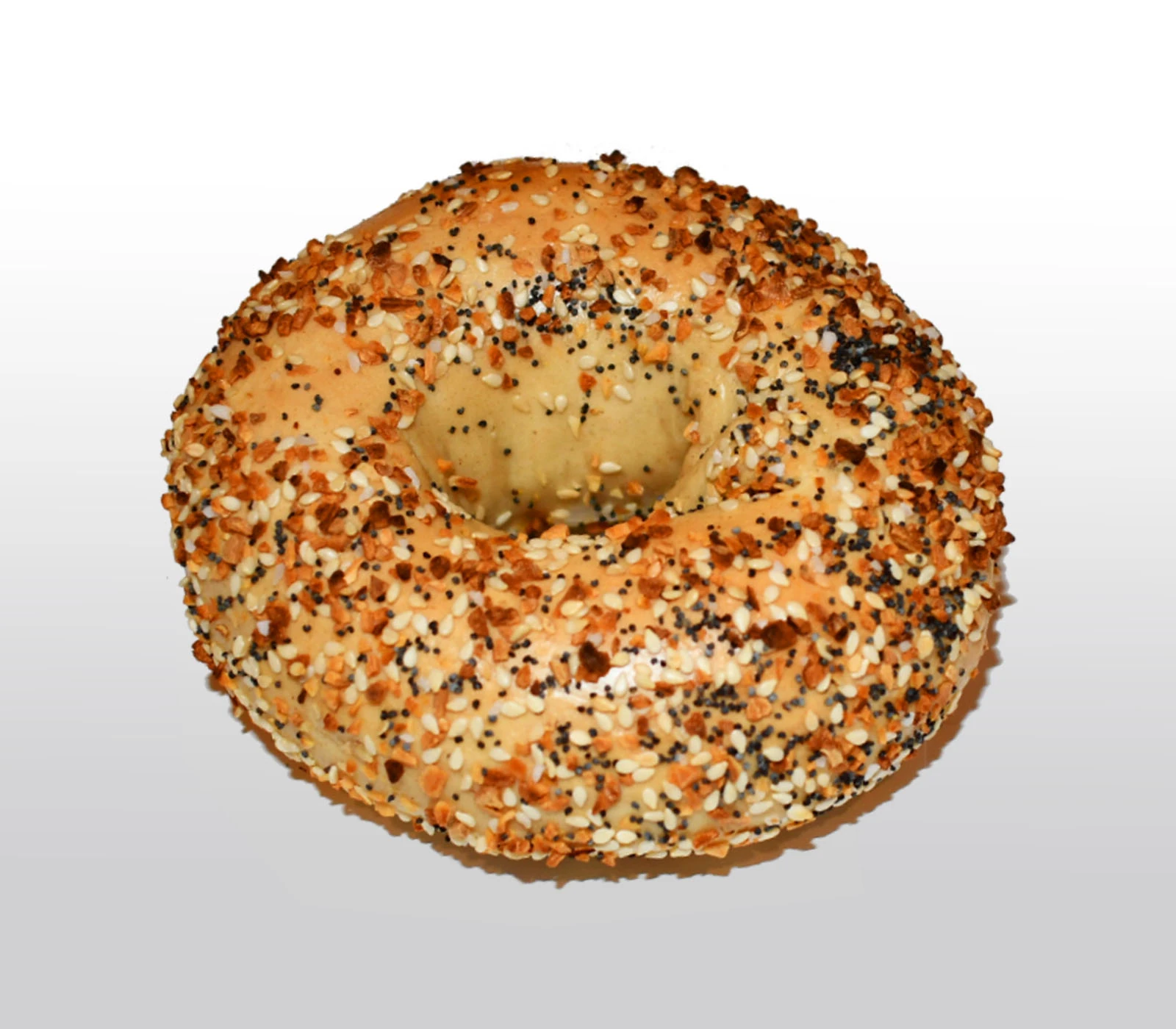 Single freshly baked Golden Bagel